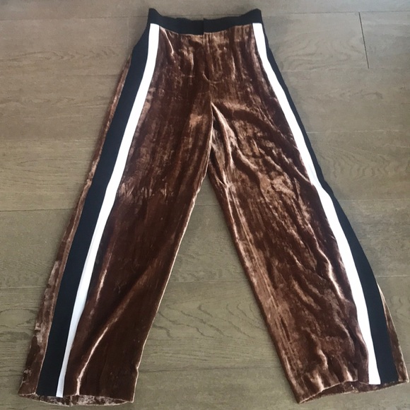 Zara Pants - Zara Velvet Pant !